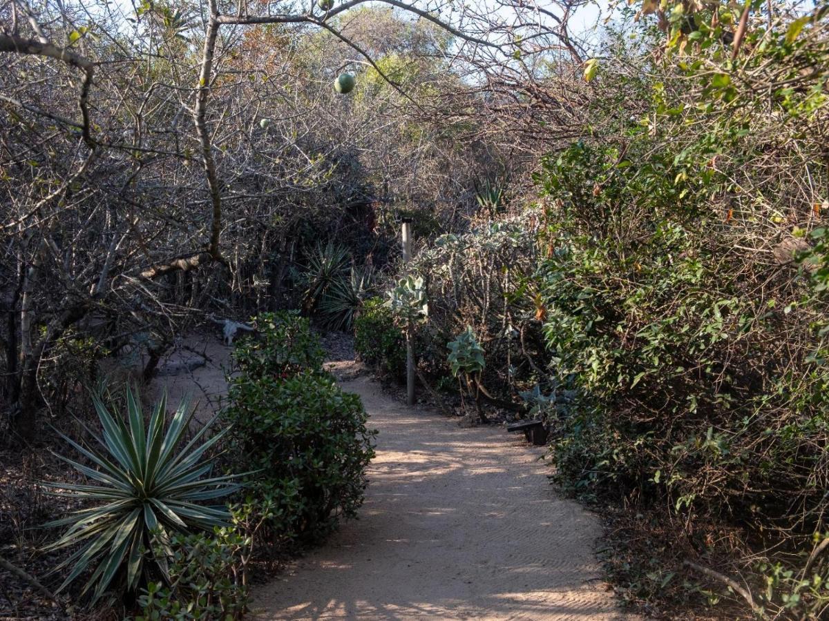 African Sky Bush Camp Villa Rabelaisruskamp Buitenkant foto